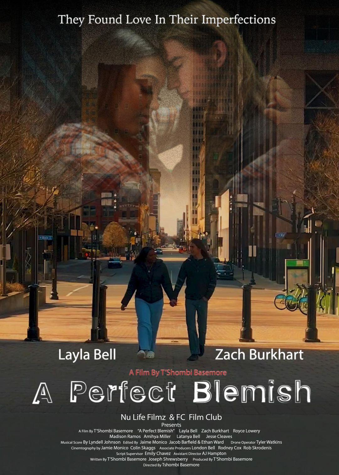 A Perfect Blemish